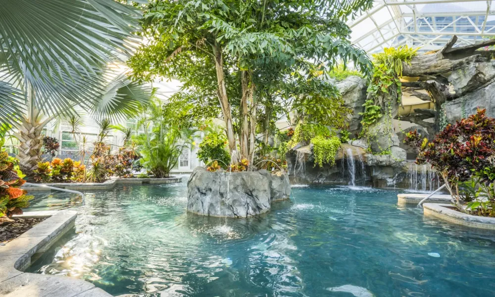 Indoor Biosphere Pool