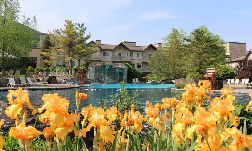 Beautiful orange flowers by the pool at Minerals Hotel in NJ