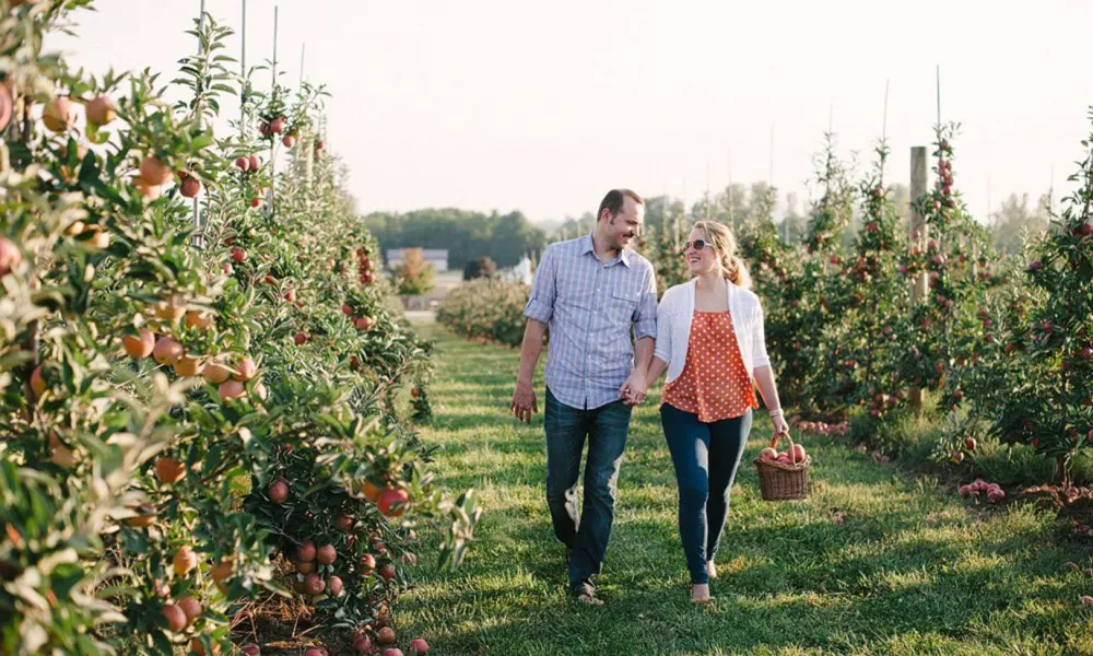 Couple walking through apple orchard