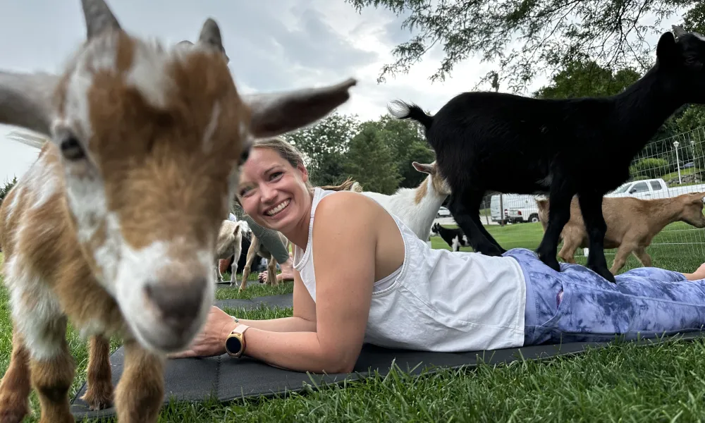 Woman participating in goat yoga. 