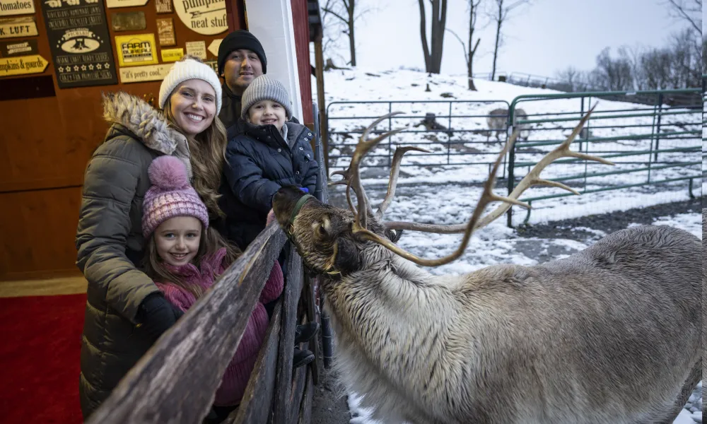 Family posing with reindeer. 