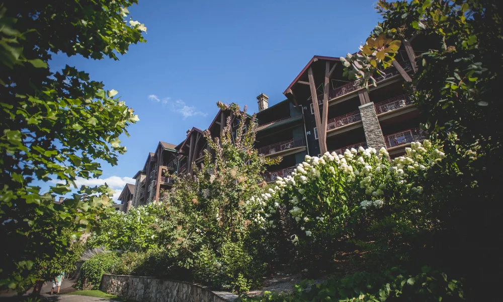 Exterior view of Grand Cascades Lodge