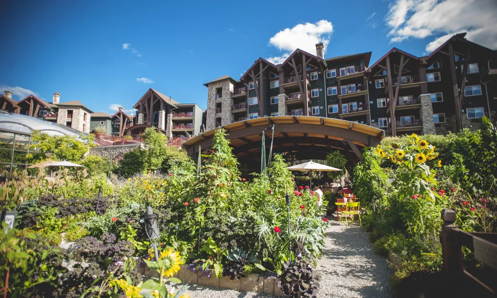 Chef's Garden behind Grand Cascades Lodge.