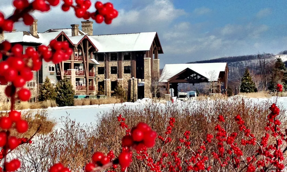 Winter red berry trees at Grand Cascades Lodge