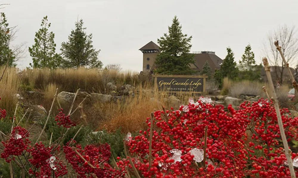 Grand Cascades Lodge