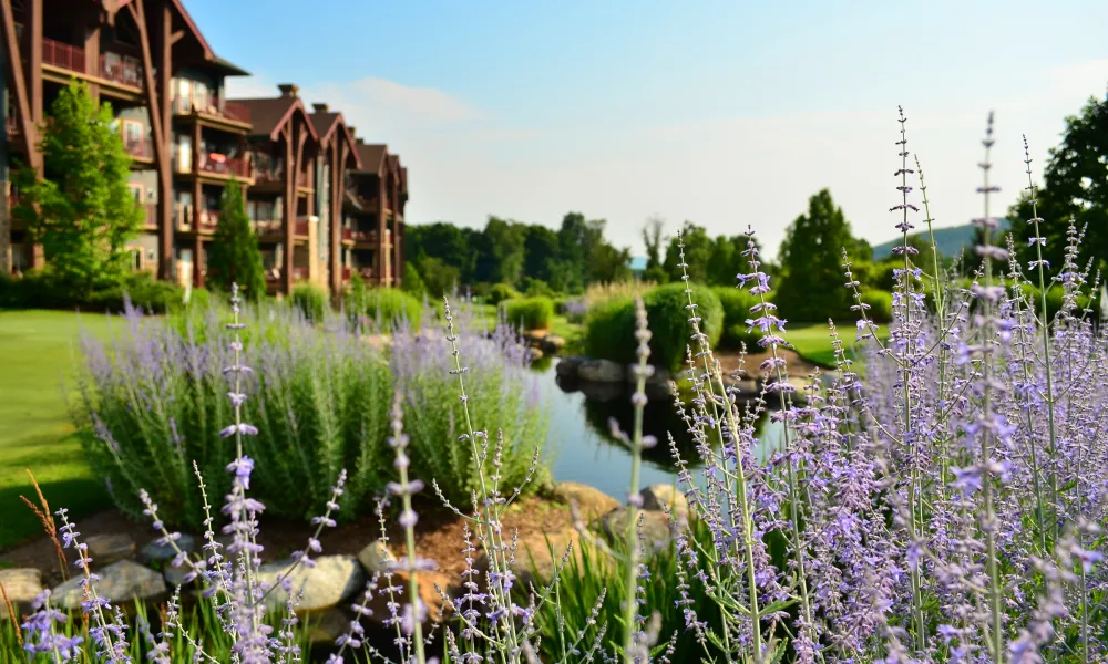 Grand Cascades Lodge flowers