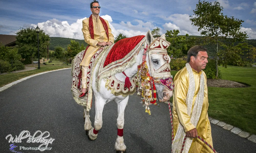 Indian wedding groom riding on white horse with beautiful decorations