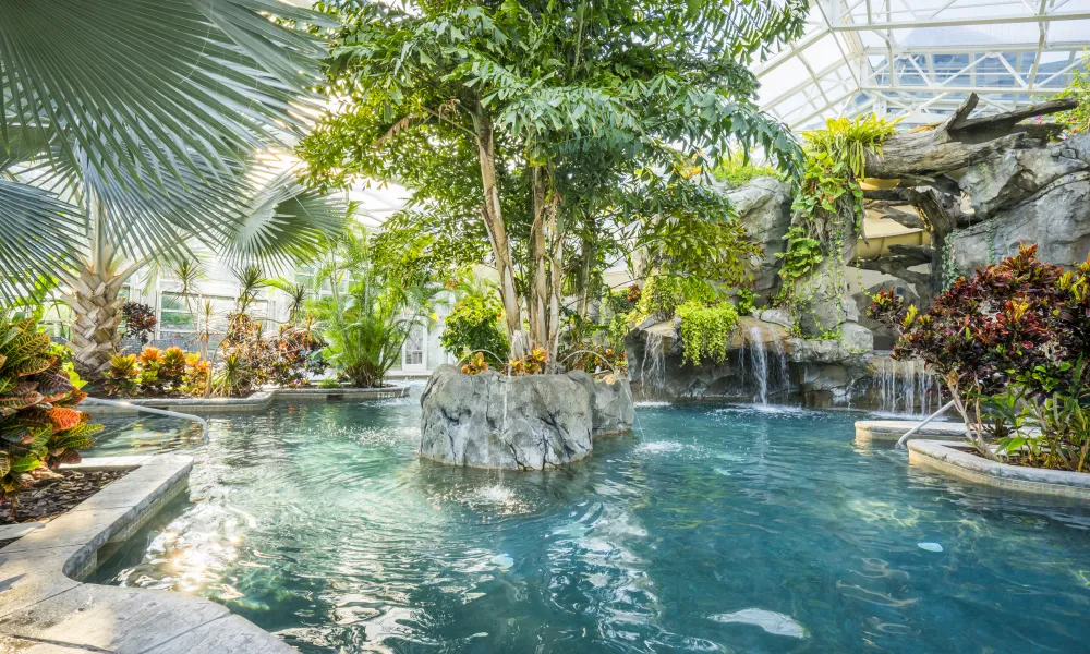 Indoor Biosphere Pool