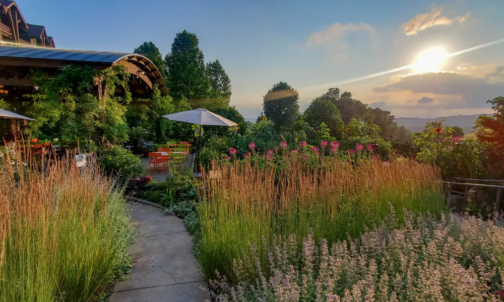 Beautiful View of the Chef's Garden