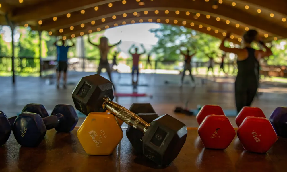 Dumbbells with people working out in background.