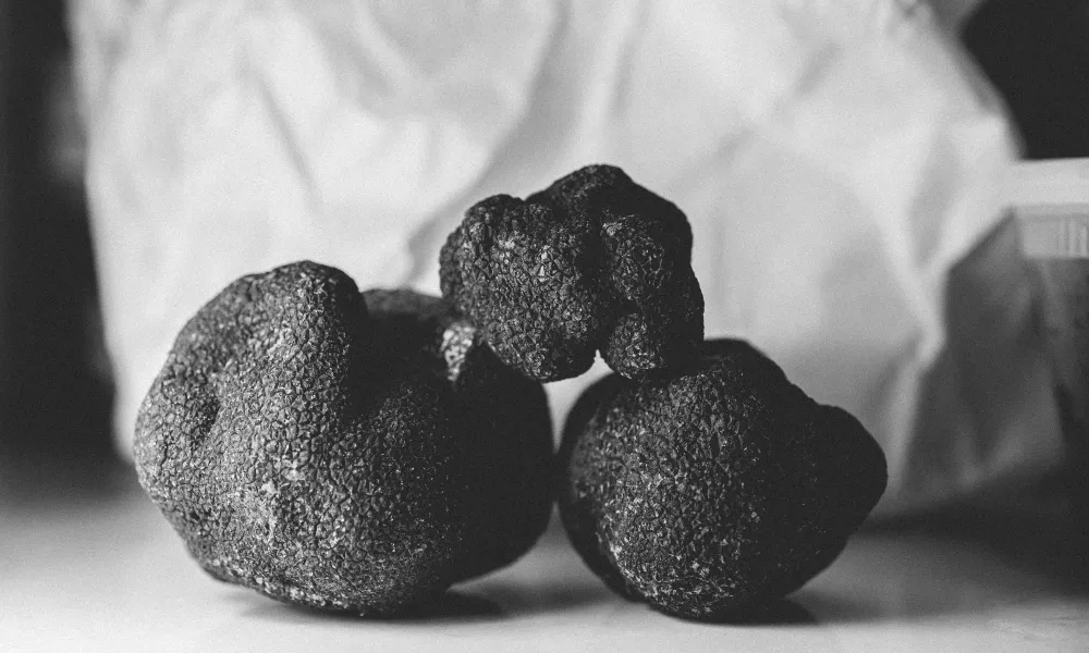 Large black truffles