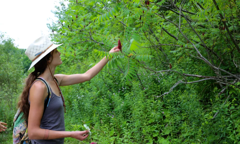 Nature Observation Walk