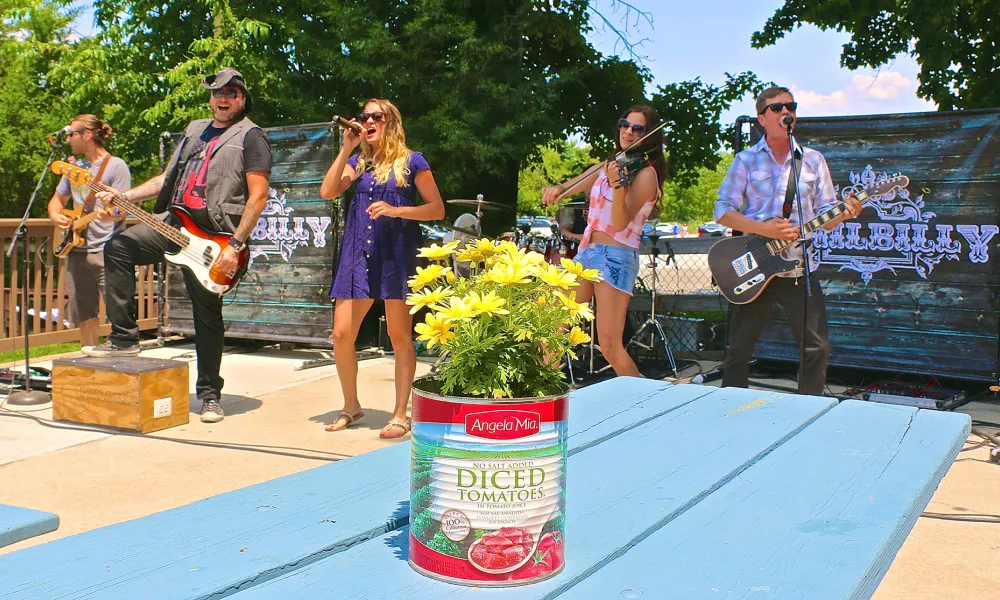 Live band at Moonshine + The Farmstand