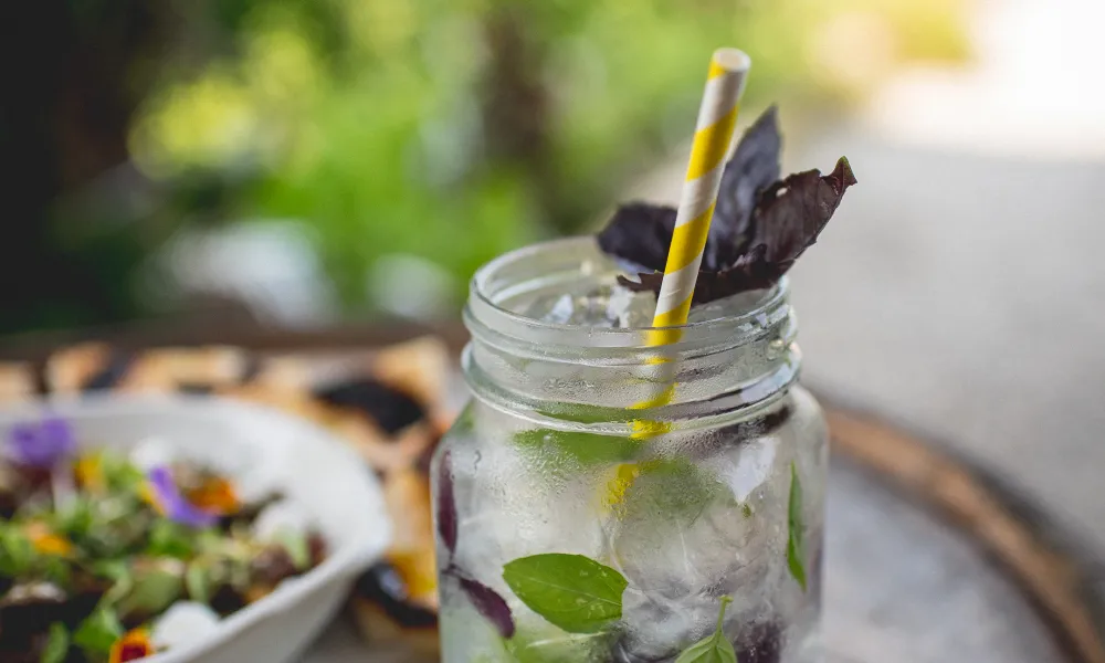 Chef's Garden Fresh Mint Libation