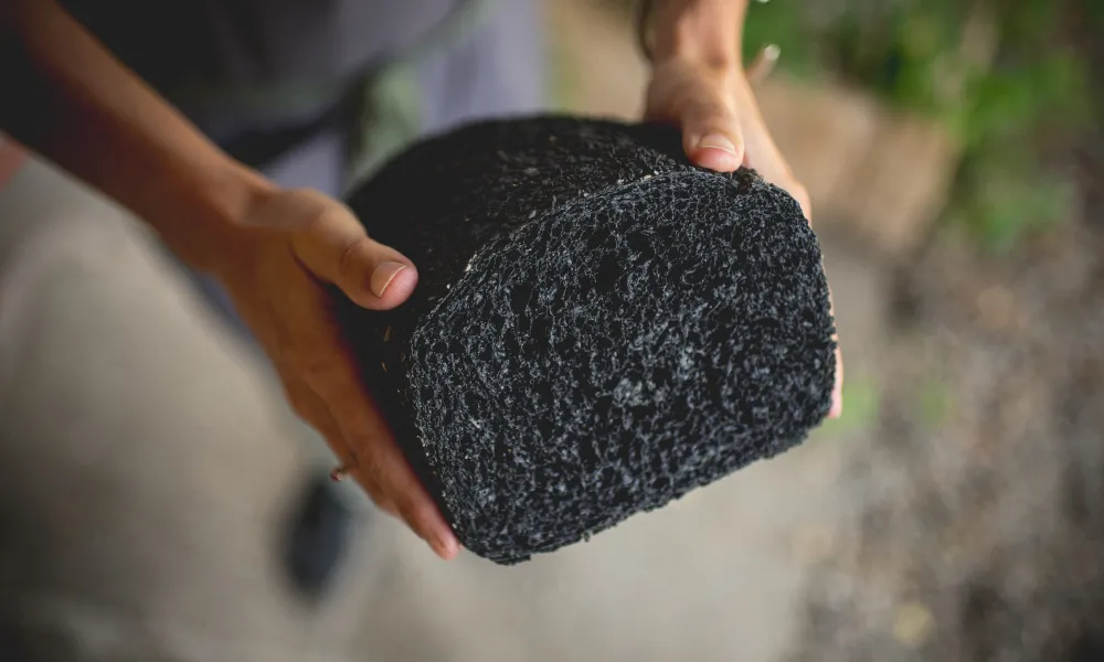 Chef's Garden Black Bread