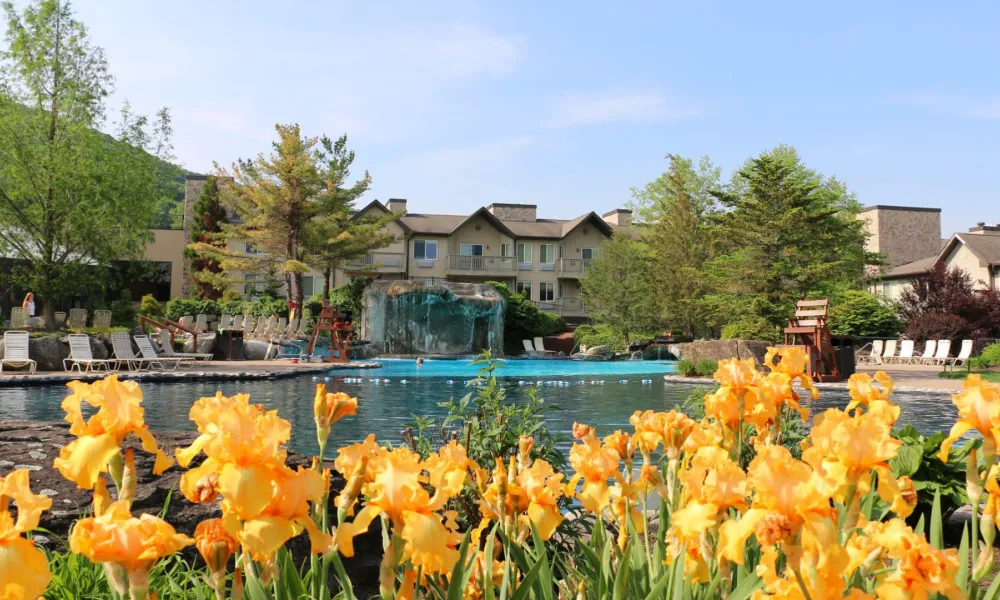 Beautiful orange flowers at Minerals Hotel pool