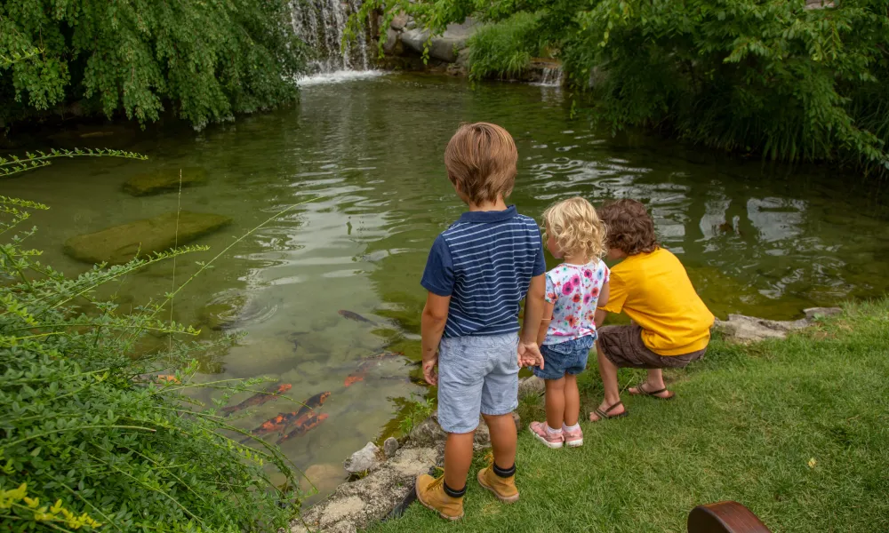 Children at Koi Pond