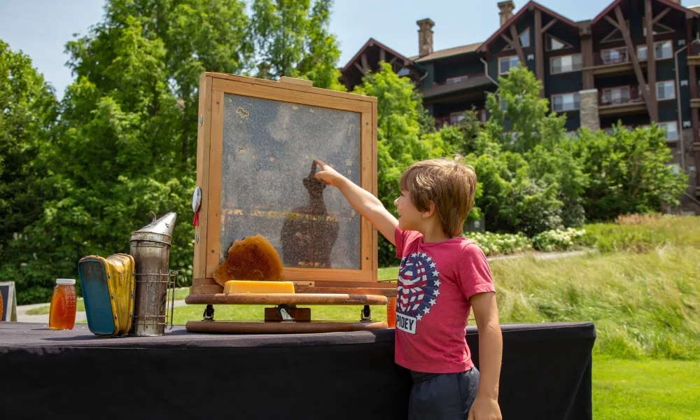 Young child pointing at beehive.