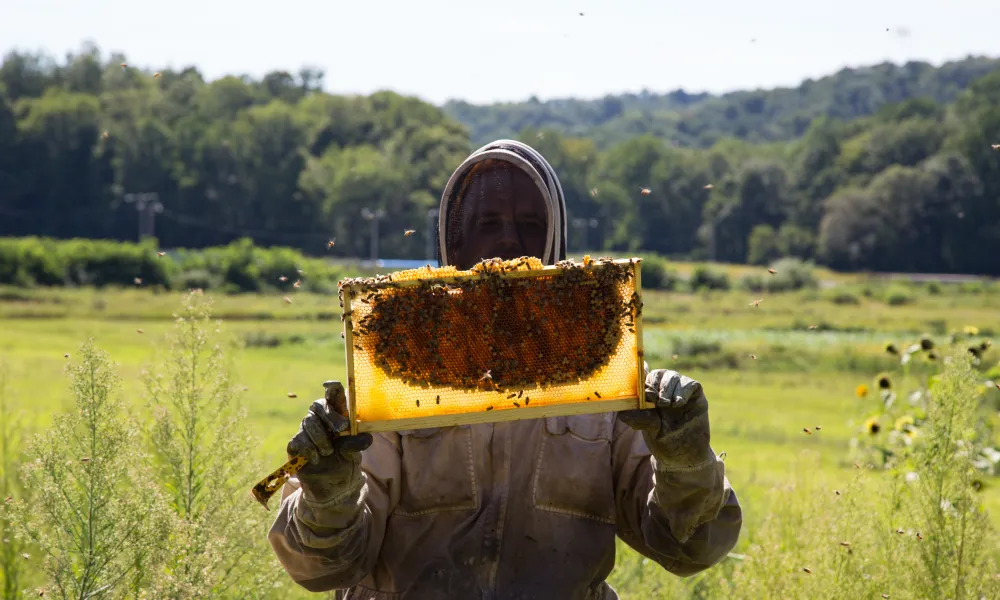 Bee keeper holding bee hive.