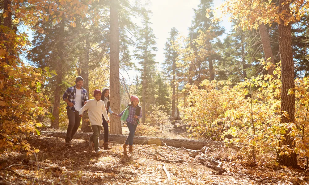 Family Hike in Fall.