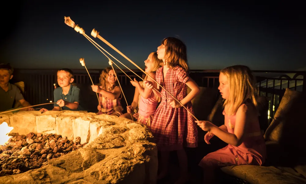 Kids roasting marshmallows