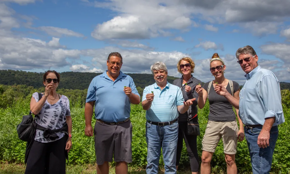 Hiking group working with herbalist