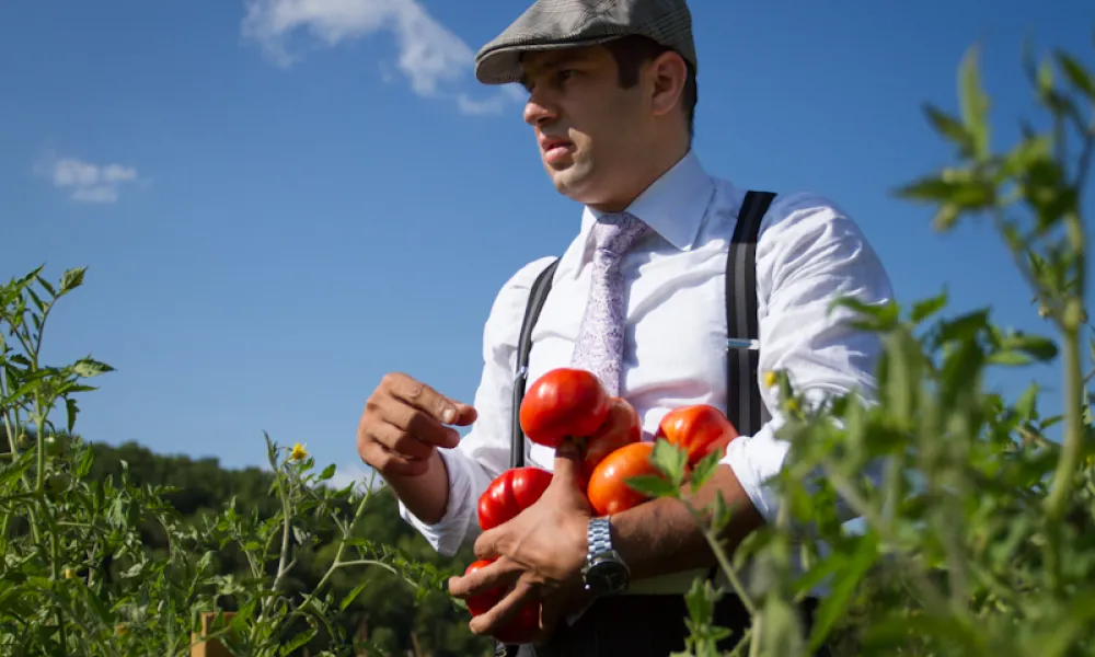 Robby Younes Picking Tomatoes