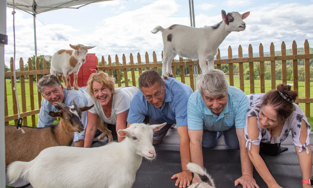 Group of adults participating in goat yoga at Crystal Springs Resort