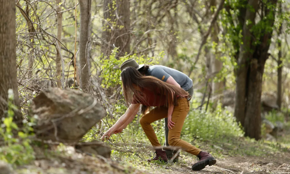 Couple foraging wild plants on trail in the woods at Crystal Springs Resort