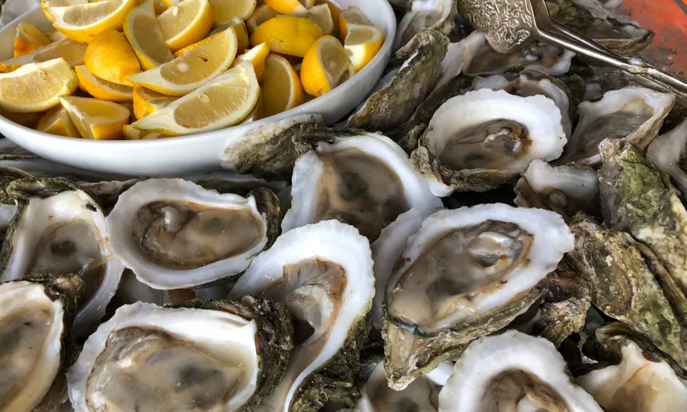 Catered Oysters