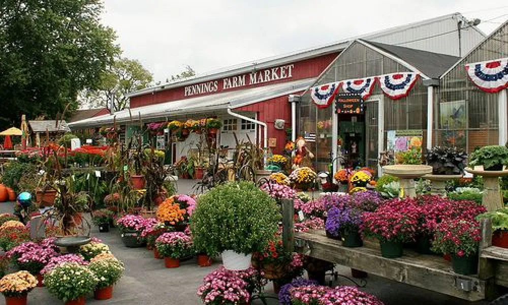 Overview of Pennings Farm Market