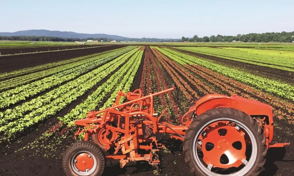 Tractor in the Fields