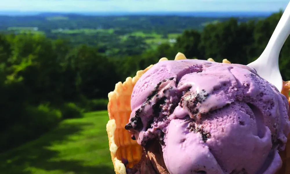 Ice cream cone from Bellvale Farms Creamery