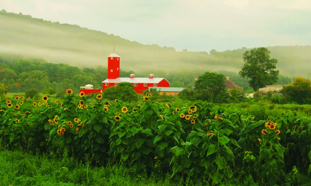 Black Dirt Distillery in the distance