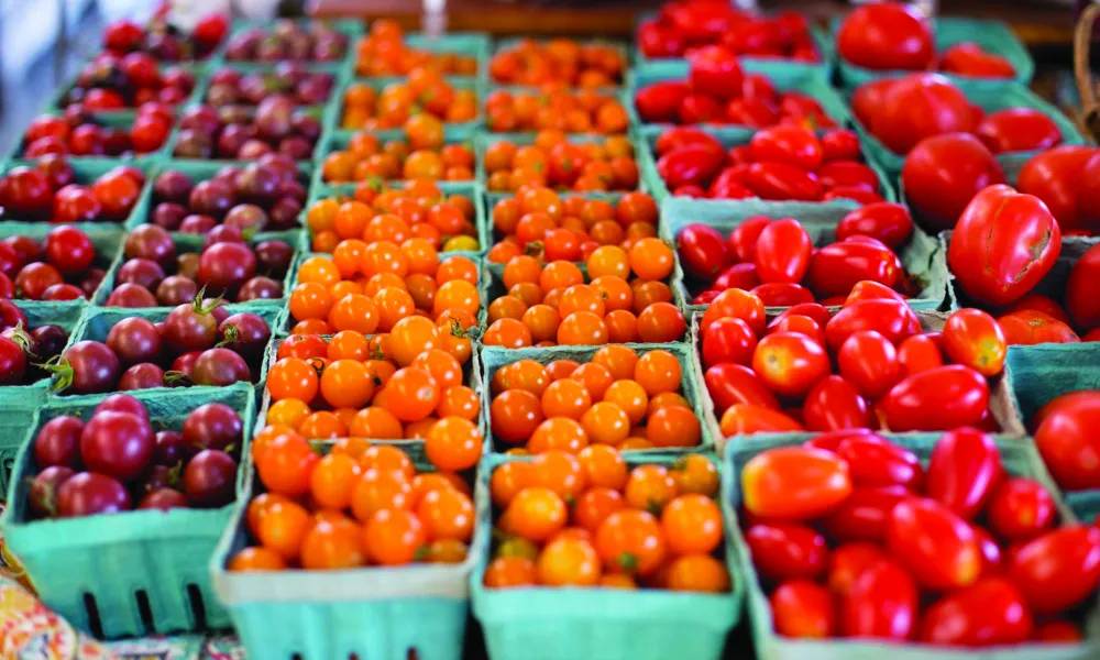 Fresh tomatoes at farmer's market