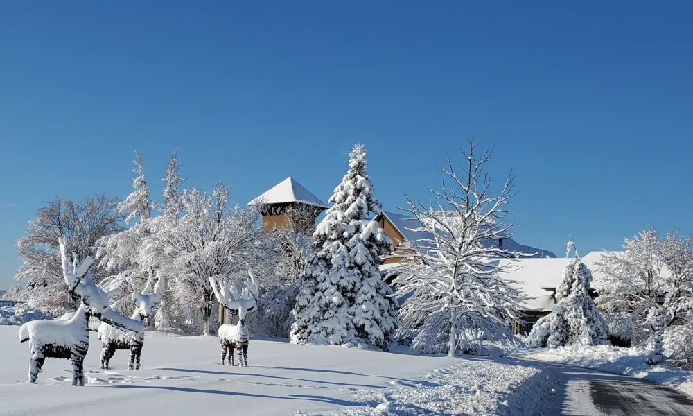 Snowy day at Crystal Springs Country Club