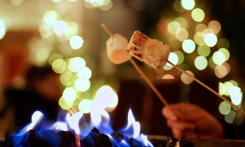 Marshmallow roasting at night time.