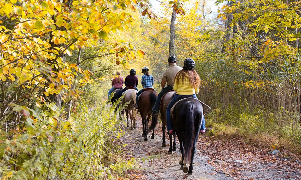 People horseback riding through forest during fall.