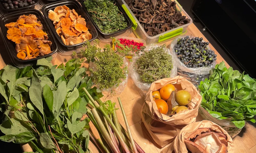 Assortment of vegetables foraged from Crystal Springs Resort