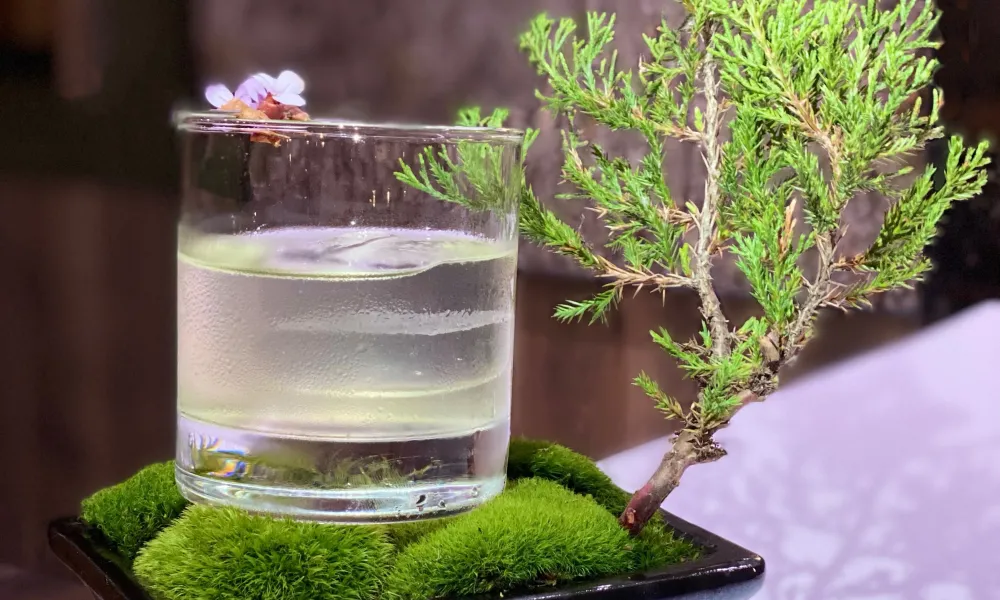 Cocktail in short round glass on top grass plate.