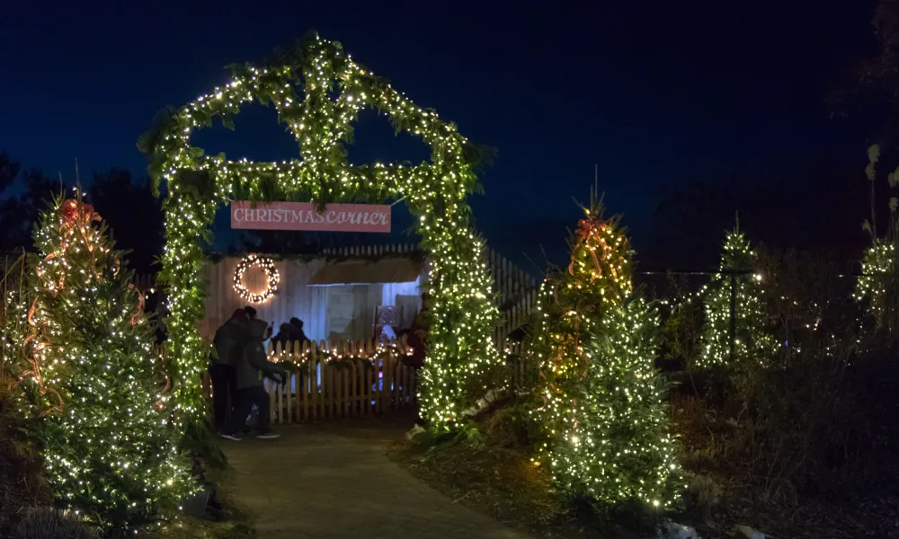 Christmas corner entrance with lights