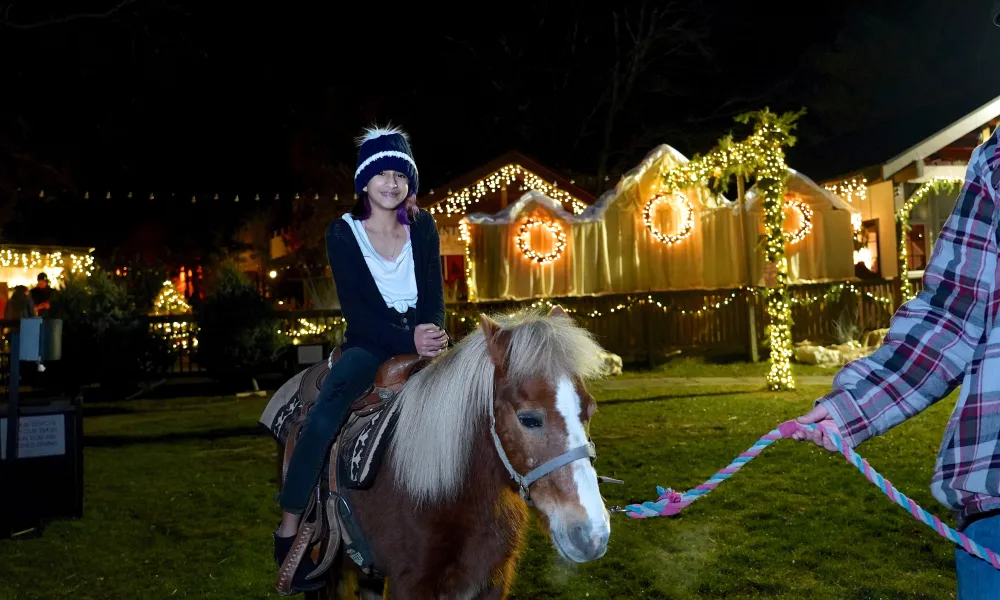 Young child riding pony.