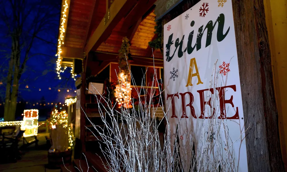 Trim a tree sign at Frosty's Cantina.