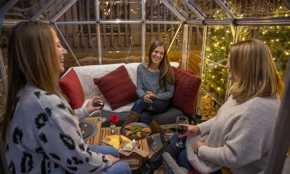 Three girlfriends having dinner in the ruby chateau