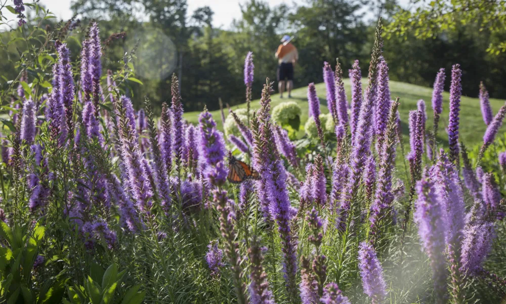 Flowers on a golf course at a resort near NYC