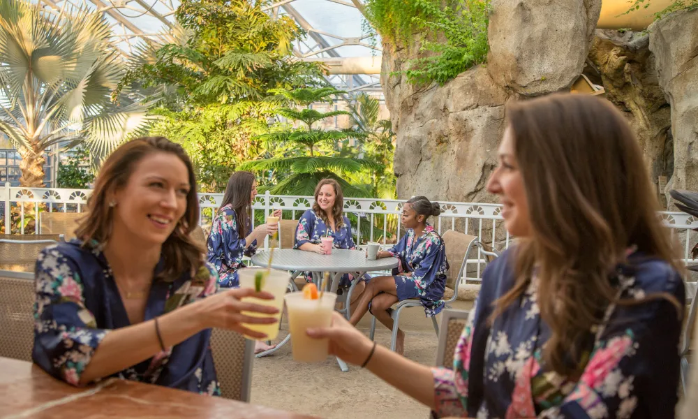 Girlfriends enjoying drinks at the Biosphere at Crystal Springs Resort