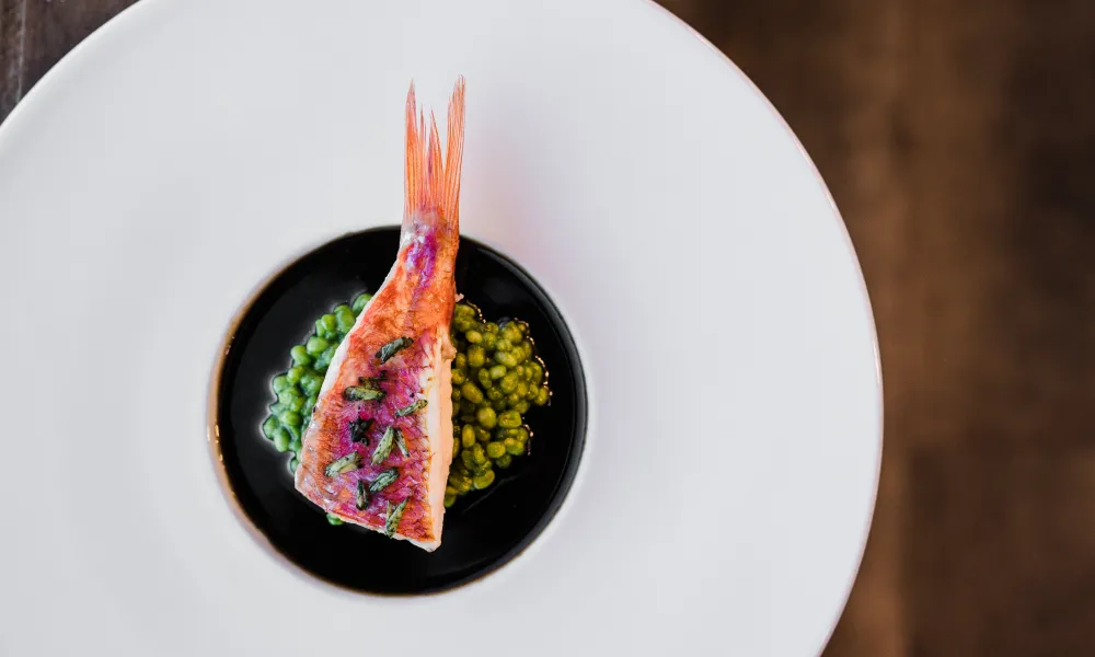 Plated fish dish at Restaurant Latour