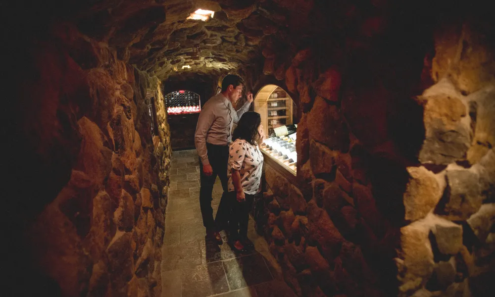 Woman and man look through glass in wine cellar to admire wine collection.