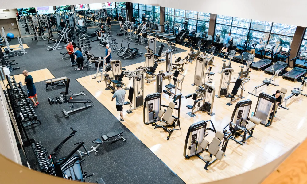 MSC Gym floor with an array of equipment.