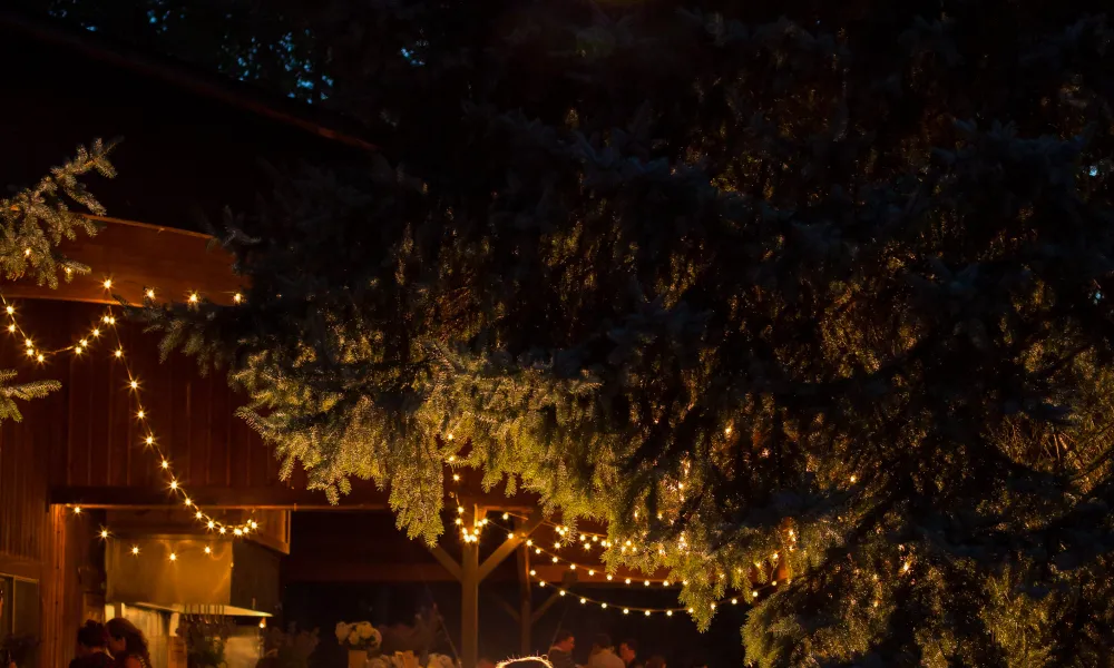 Wedding couple under the night sky